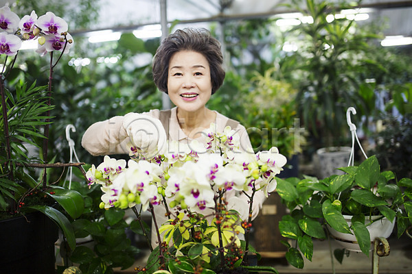 여유 60대 노년 노인여자한명만 여자 한국인 한명 JPG 앞모습 포토 꽃 꽃가꾸기 꽃집 미소(표정) 상반신 서기 실내 실버라이프 원예 할머니