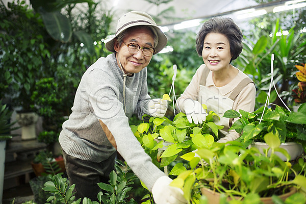 다정 여유 60대 남자 노년 노인만 두명 여자 한국인 JPG 앞모습 포토 꽃가꾸기 꽃집 노부부 미소(표정) 상반신 서기 실내 실버라이프 원예 할머니 할아버지