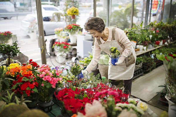 여유 60대 노년 노인여자한명만 여자 한국인 한명 JPG 앞모습 포토 꽃 꽃집 들기 미소(표정) 상반신 서기 실내 실버라이프 원예 할머니 화분