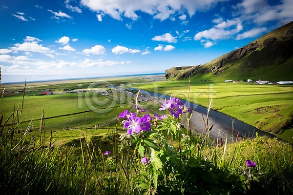 사람없음 JPG 포토 강 구름(자연) 꽃 아이슬란드 야외 유럽 자연 주간 트래킹 풍경(경치) 하늘 해외 해외풍경