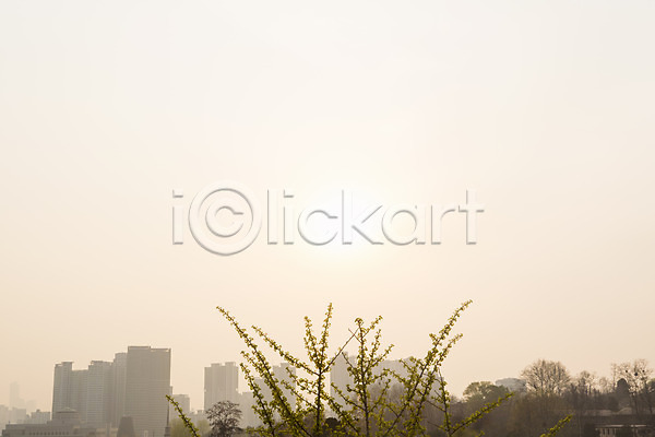 사람없음 JPG 포토 나무 도시 백그라운드 봄 야외 일몰 자연 주간 풍경(경치) 하늘