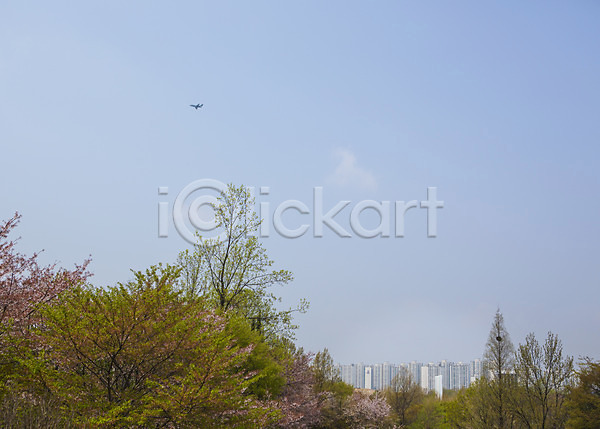 사람없음 JPG 포토 나무 백그라운드 벚꽃 봄 비행기 아파트 야외 자연 주간 풍경(경치) 하늘