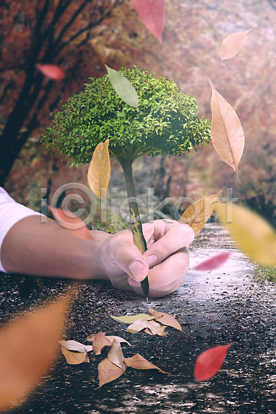 상상 신체부위 한명 JPG 디지털합성 편집이미지 가을(계절) 꿈 나무 나뭇잎 낙엽 단풍 디지털아트 손 연필 합성