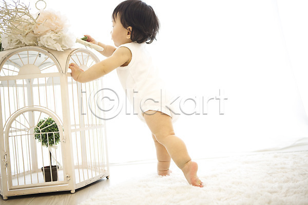 아기 여자 한국인 한명 JPG 포토 서기 스튜디오촬영 실내 아기용품 장식 전신 카펫