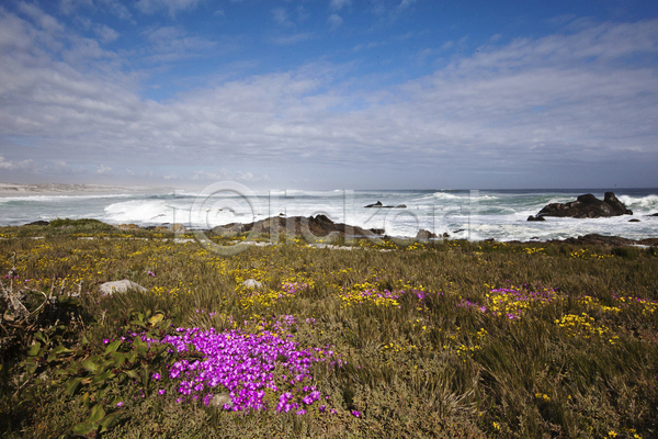 사람없음 JPG 포토 해외이미지 꽃 남아프리카 물 바다 밭 분홍색 산 파도 하늘 해외202004