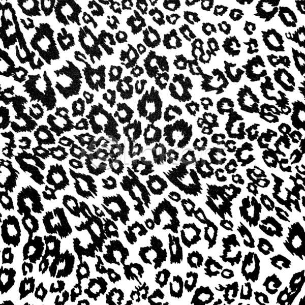 화려 사람없음 여자 JPG 포토 해외이미지 흑백 검은색 고양이 그래픽 그림 동물 디자인 미술 백그라운드 벽지 사냥 사파리 수확 스타일 아프리카 우아 유행 인쇄 장식 질감 치타 타일 털 패턴 해외202004 흰색