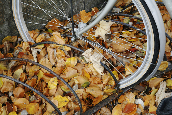 사람없음 JPG 포토 해외이미지 가로 가을(계절) 교통시설 서기 야외 잎 자전거 주차 해외202004