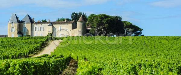 사람없음 JPG 포토 해외이미지 건물 건축물 농업 밭일 서유럽 시골 시력 식물 야외 양조 양조장 언덕 여행 옛날 외관 유럽 자연 포도 포도나무 포도밭 프랑스 해외202004 해외포토
