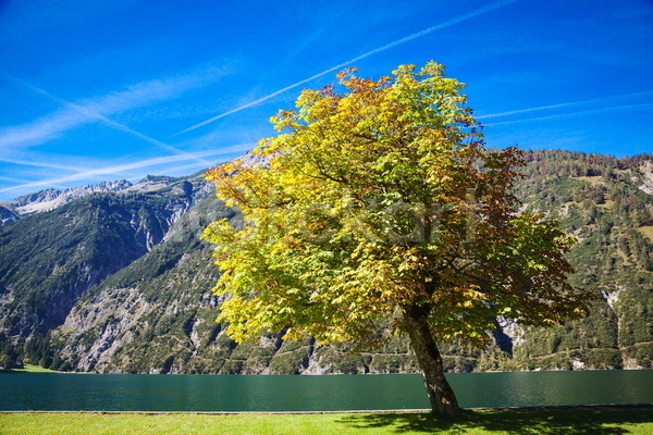사람없음 JPG 포토 해외이미지 개화 계곡 계절 구름(자연) 나무 물 백그라운드 숲 알프스 야외 여름(계절) 여행 오스트리아 유럽 자연 파란색 풍경(경치) 하늘 해외202004 호수 휴가