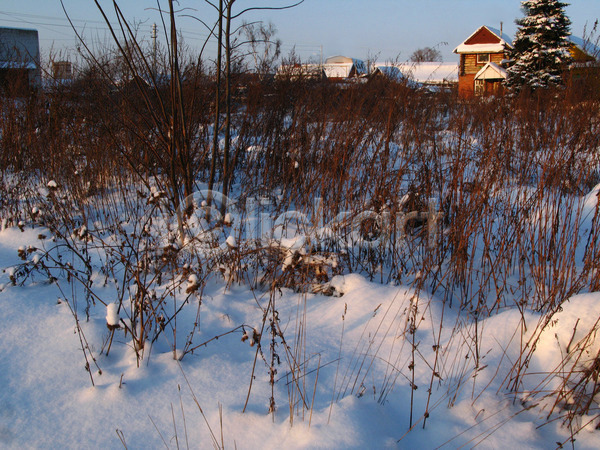 추위 사람없음 JPG 포토 해외이미지 겨울 그림자 나무 도시 마을 해외202004