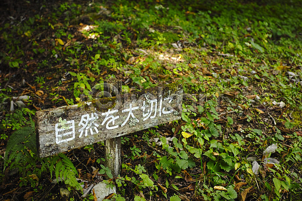 사람없음 JPG 포토 나가노 땅 숲 식물 안내 야외 일본 일본어 주간 표지판