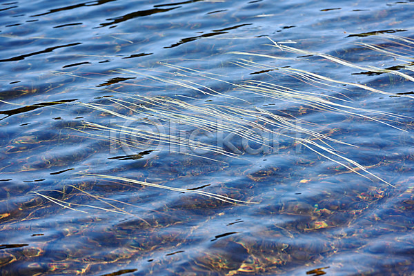사람없음 JPG 포토 강 물 바다 수면 야외 연못 자연 주간 풀(식물) 호수