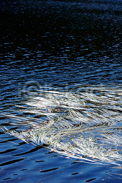 사람없음 JPG 포토 강 물 바다 수면 야외 연못 자연 주간 풀(식물) 호수