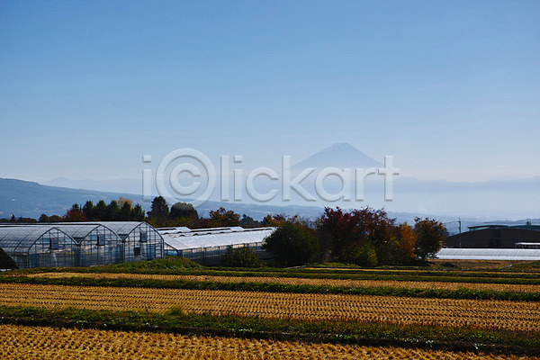 사람없음 JPG 포토 논 농업 비닐하우스 야마나시 야외 일본 주간 풍경(경치)