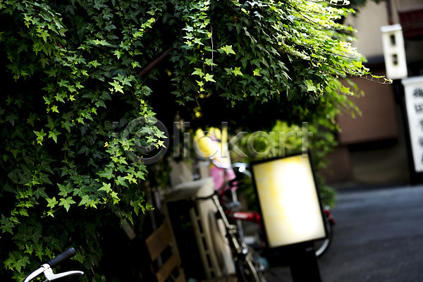 사람없음 JPG 아웃포커스 포토 골목길 나무 나뭇잎 야외 오사카 일본 주간