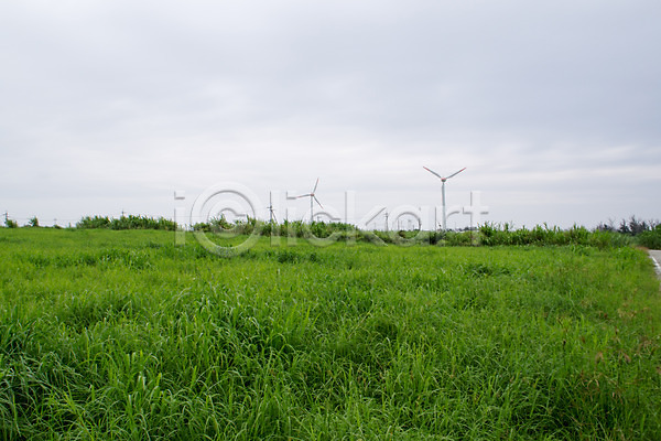 사람없음 JPG 포토 식물 야외 이에섬 일본 주간 초록색 풀(식물) 풍경(경치) 풍력기 하늘