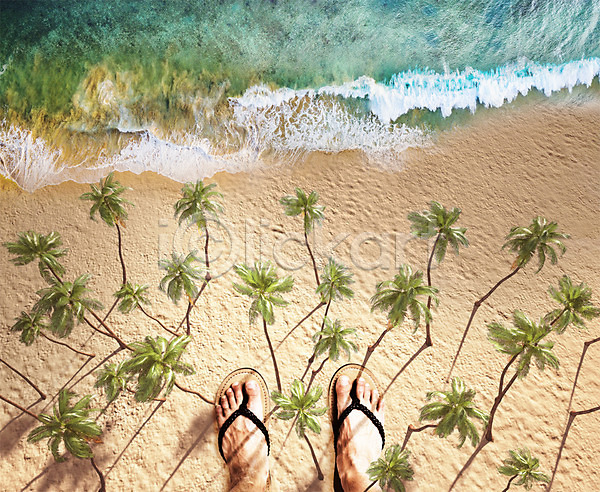 신체부위 PSD 디지털합성 편집이미지 하이앵글 다리 디지털아트 맨발 모래사장 바다 백그라운드 야자수 여름(계절) 여행 쪼리 파도 합성