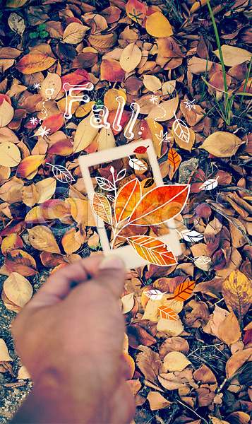 신체부위 PSD 편집이미지 가을(계절) 계절 계절백그라운드 낙엽 단풍 손 야외 주간 합성