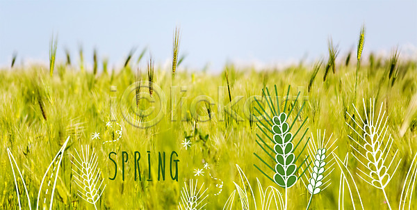 사람없음 PSD 편집이미지 계절 계절백그라운드 봄 야외 주간 청보리 청보리밭 합성