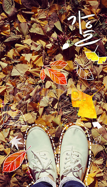 신체부위 PSD 편집이미지 가을(계절) 계절 계절백그라운드 낙엽 단풍 발 야외 운동화 은행잎 주간 합성