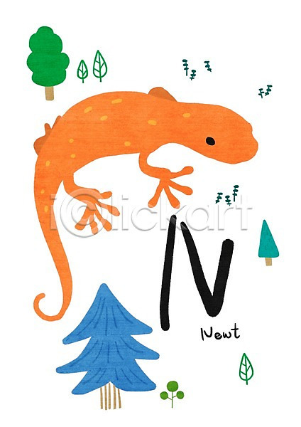 사람없음 PSD 일러스트 N 교육자료 나무 낱말카드 도롱뇽 동물 알파벳