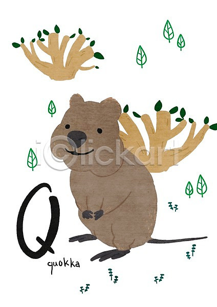 사람없음 PSD 일러스트 Q 교육자료 나무 낱말카드 동물 알파벳 쿼카