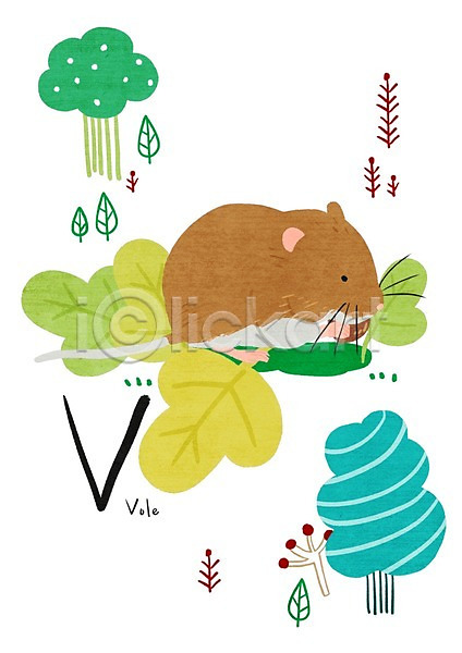 사람없음 PSD 일러스트 V 교육자료 나무 나뭇잎 낱말카드 동물 들쥐 알파벳