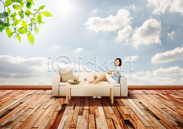30대 성인 여자 한국인 한명 PSD 옆모습 편집이미지 강아지 구름(자연) 나뭇가지 나뭇잎 마루(인테리어) 목재 반려 소파 앉기 전신 탁자 하늘