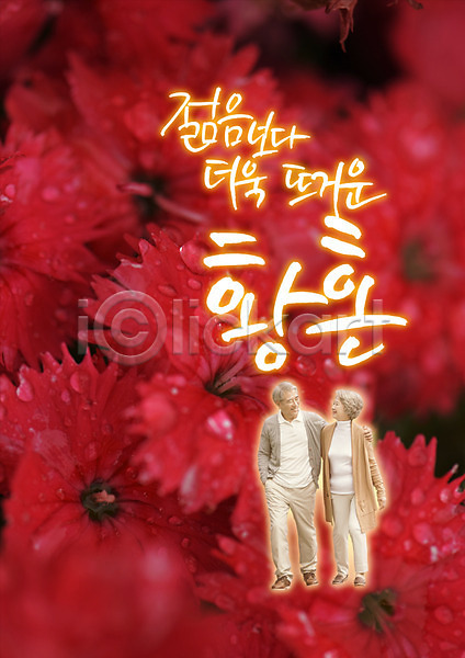 뜨거움 청춘(젊음) 60대 남자 두명 성인 여자 한국인 PSD 앞모습 편집이미지 걷기 꽃 노부부 마주보기 미소(표정) 빨간색 안기 여러송이 전신 한글