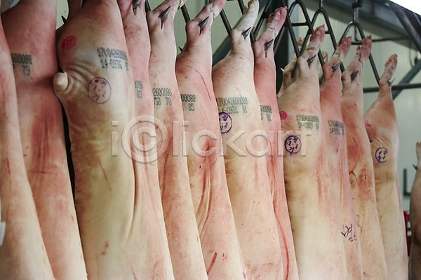 사람없음 JPG 포토 가공장 공장 도장 돼지고기 돼지족발 매달리기 신선에너지우리축산 실내 육류 축산자조금연합