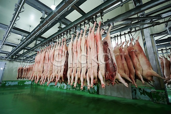 사람없음 JPG 포토 가공장 공장 돼지고기 매달리기 신선에너지우리축산 실내 여러개 육류 축산자조금연합