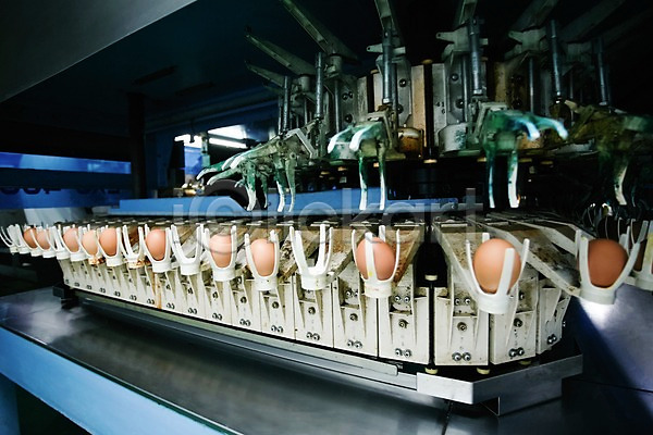 사람없음 JPG 포토 계란 공장 기계 선별작업 신선에너지우리축산 실내 축산자조금연합