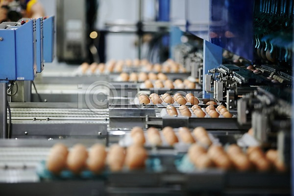사람없음 JPG 포토 계란 계란판 공장 기계 선별작업 신선에너지우리축산 실내 축산자조금연합