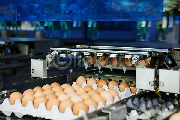 사람없음 JPG 포토 계란 계란판 공장 기계 선별작업 신선에너지우리축산 실내 축산자조금연합