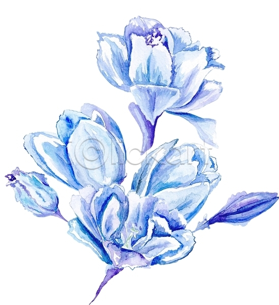 사람없음 JPG 비네팅 일러스트 해외이미지 그림 꽃 꽃다발 모서리 번짐 붓터치 수채화(물감) 스크랩북 식물 튤립 해외202004