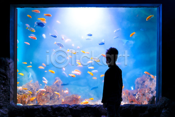 남자 소년 소년한명만 어린이 한명 JPG 실루엣 포토 해외이미지 빛 산호 상반신 수족관 수중 실내 아쿠아리움 어류 파란색 해외202004