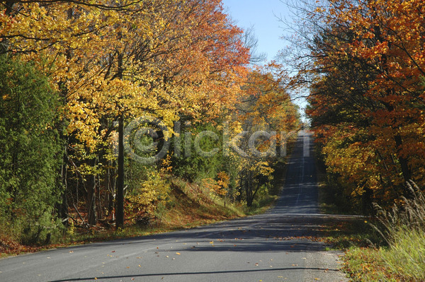 사람없음 JPG 포토 해외이미지 가을(계절) 계절 고속도로 나무 도로 루트 맑음 시골 잎 컬러풀 풍경(경치) 해외202004