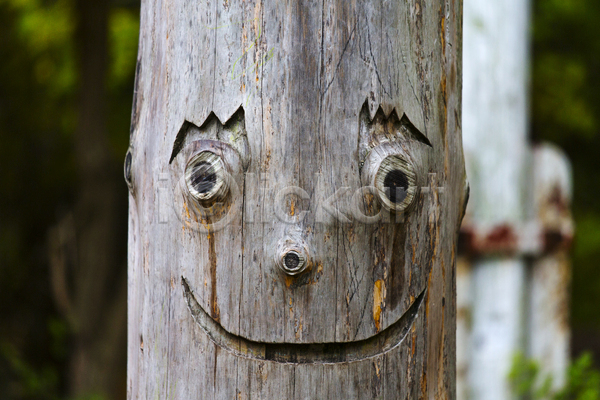 유머 사람없음 JPG 포토 해외이미지 나무 나무껍질 날씨 노력 눈(신체부위) 목재 미소(표정) 숲 얼굴 웃음 자연 조각 해외202004