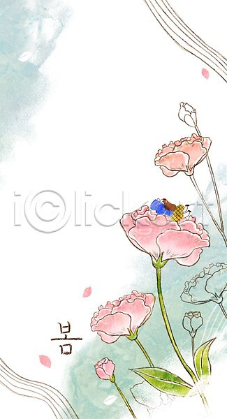 성인 여자 한명 PSD 일러스트 계절 계절백그라운드 꽃 나뭇잎 백그라운드 봄 봄배경 카네이션