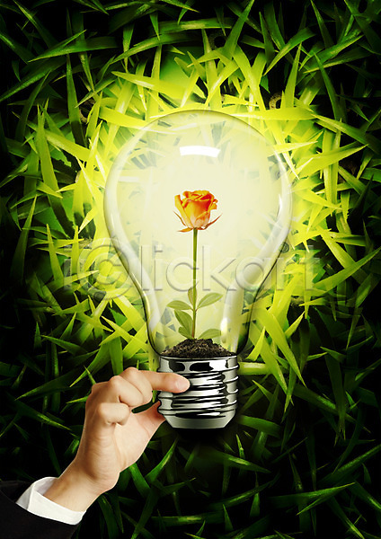 PSD 편집이미지 그린에너지 그린캠페인 꽃 들기 빛 새싹 손 자연보호 잔디 장미 전구 편집 풀(식물) 환경
