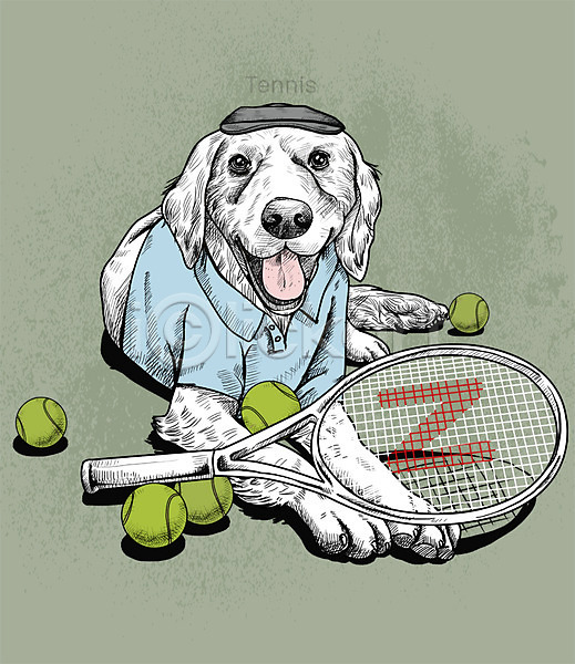 귀여움 즐거움 활발 사람없음 PSD 일러스트 강아지 골든리트리버 반려동물 스케치 취미 테니스 테니스공 테니스라켓 테니스용품