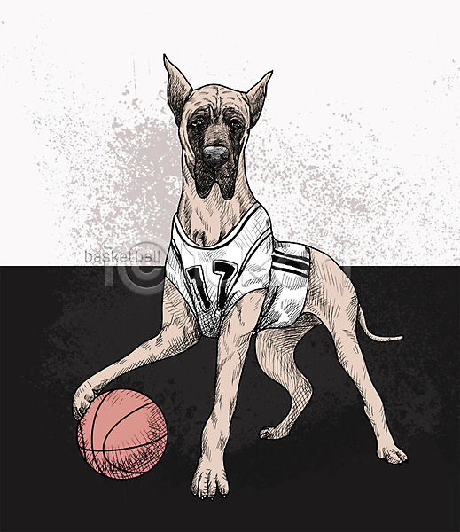 귀여움 즐거움 활발 사람없음 PSD 일러스트 강아지 그레이트덴 농구 농구공 농구복 반려동물 스케치 취미