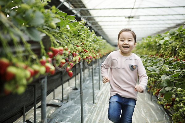 소녀한명만 어린이 여자 한국인 한명 JPG 포토 농장체험 달리기 딸기 딸기농장 비닐하우스 실내