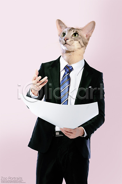 사람없음 PSD 디지털합성 편집이미지 고양이 넥타이 반려 반려동물 의인화 정장 종이 초상화 합성