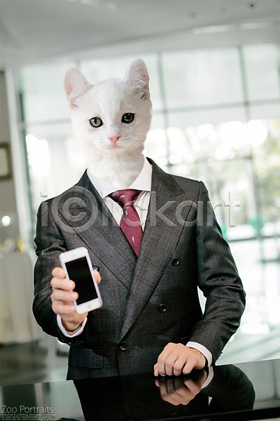 사람없음 PSD 디지털합성 편집이미지 고양이 반려 반려동물 스마트폰 실내 의인화 정장 체크인 초상화 합성