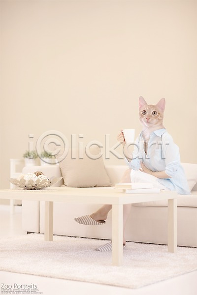 휴식 사람없음 PSD 디지털합성 편집이미지 고양이 반려 반려동물 소파 실내 의인화 책 초상화 카펫 커피잔 쿠션 탁자 합성