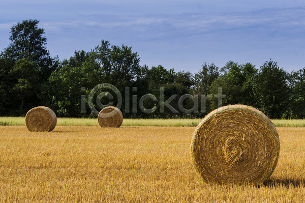 사람없음 JPG 포토 해외이미지 노란색 농업 밀 밀짚 볏짚 시골 여름(계절) 해외202004