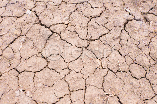 건조 뜨거움 사람없음 JPG 포토 해외이미지 가뭄 갈색 균열 글로벌 깨짐 내추럴 땅 먼지 모래 백그라운드 사막 여름(계절) 자연 재앙 점토 지구 진흙 질감 표면 해외202004 환경