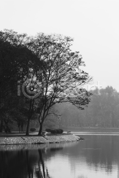 사람없음 JPG 실루엣 포토 해외이미지 흑백 검은색 공원 나무 물 베트남 숲 연못 해외202004 호수 회색 흰색