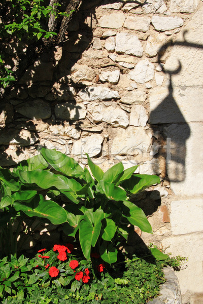 사람없음 JPG 포토 해외이미지 꽃 나무 문 바위 백그라운드 벽 빛 빨간색 식물 여름(계절) 옛날 윤곽 입장 중세 초록색 태양 해외202004
